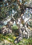 Диптих Оливковые деревья-2