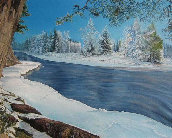 зима, снег, пейзаж, деревья,лес, река, берег,камни, солнечный день