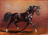  stallion