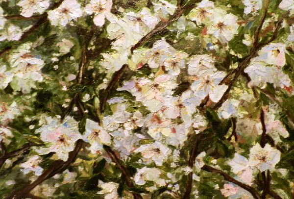 вишня цветет, вишня, картина, цветы, цветущее дерево, Красильникова Юлия