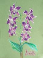 Ветка орхидеи. о. Хайнань 2010. 