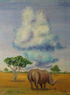 Носорог и облако