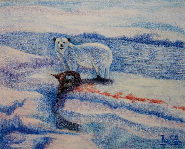белый медведь, море, лёд, снег