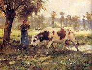 Cows at pasture