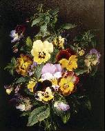 Bouquet of pansies