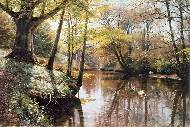 A river landscape in springtime