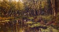 A woodland pond