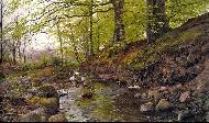 Stream in the woods, 1905