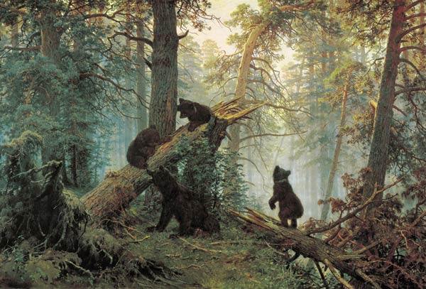 лес медведь медведи бор сосна дерево