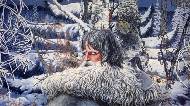 Северный орел, 1969
