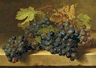 Grapes