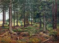 Опушка елового леса. 1906