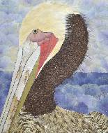 Коричневый пеликан. Brown pelican.