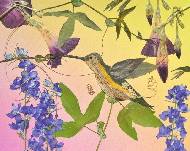 . Hummingbird.