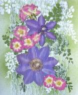   .Roses and clematises. 