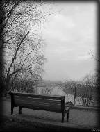 Loneliness