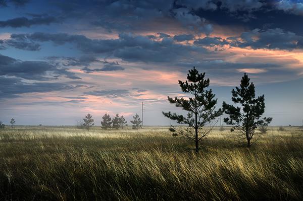 , , , , tree, clouds, field, TDAdiz