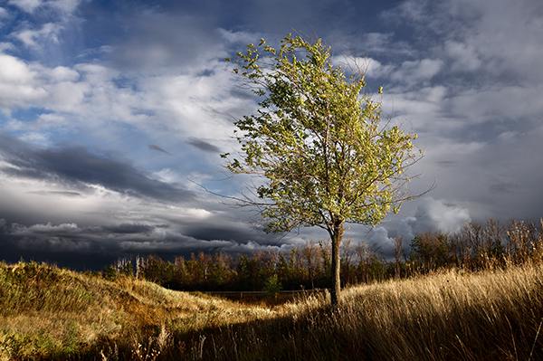 , , , , , clouds, trees, autumn, TDAdiz