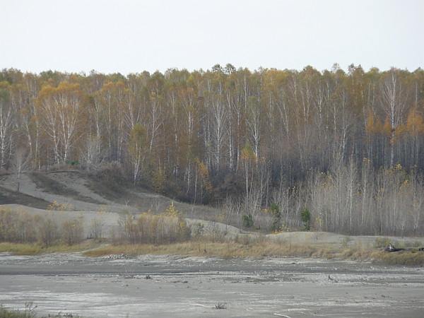 ,,,,,,,,,nature,landscape,river,Katun,Altay,sky,birch-tree,