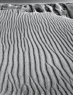 Sand Dunes, Oceano, California