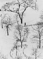 Washington Square, New York