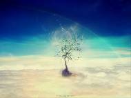 «Edem Tree»