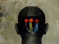 Heads - Wires.jpg